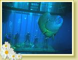 224-Introductory Scuba Dive